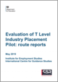 Evaluation of T Level Industry Placement Pilot: route reports 